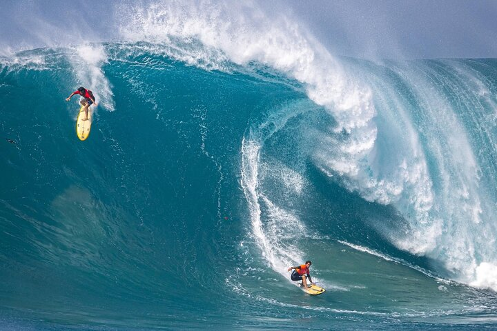 Sea / Eat & See The North Shore  - Photo 1 of 25